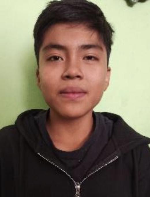 User Image