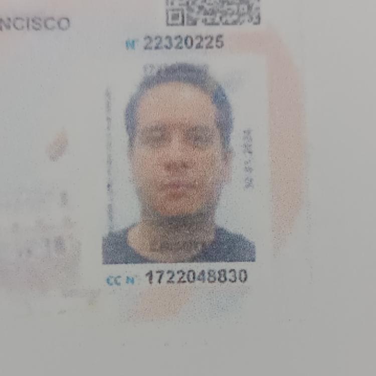 User Image